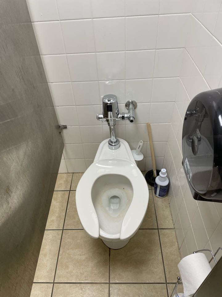 Replace two toilets and one urinal flush valves 