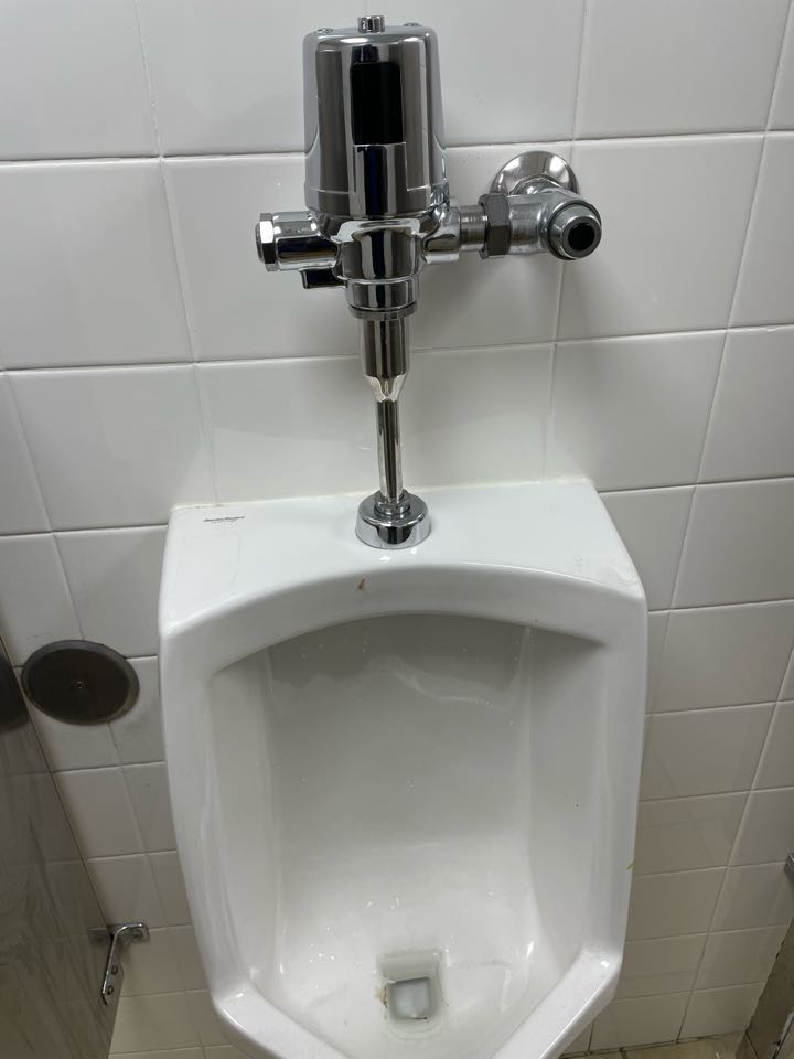Replace two toilets and one urinal flush valves 
