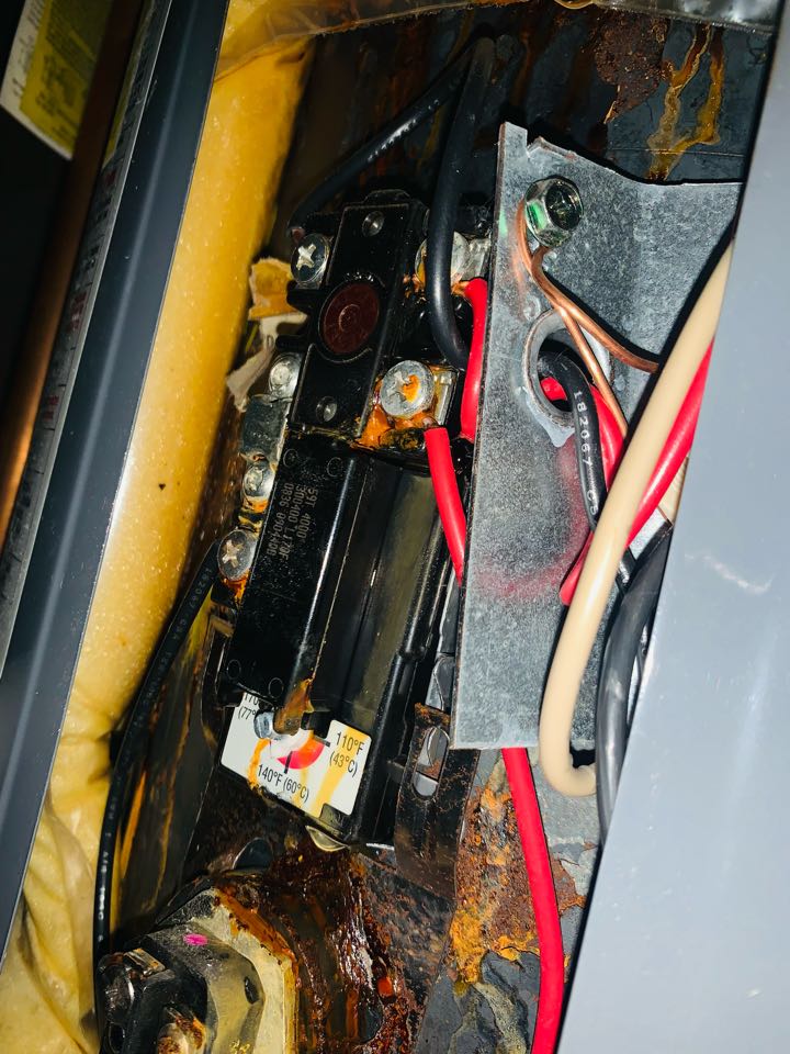 The children’s place