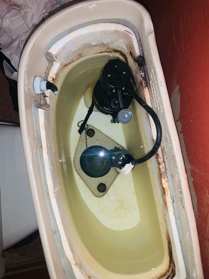 Bailey Nelson handle and flapper replacement 