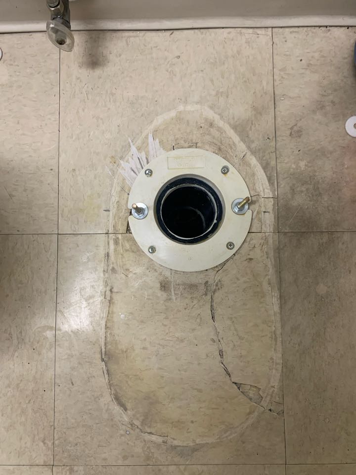 Installed toilet and repaired toilet flange 