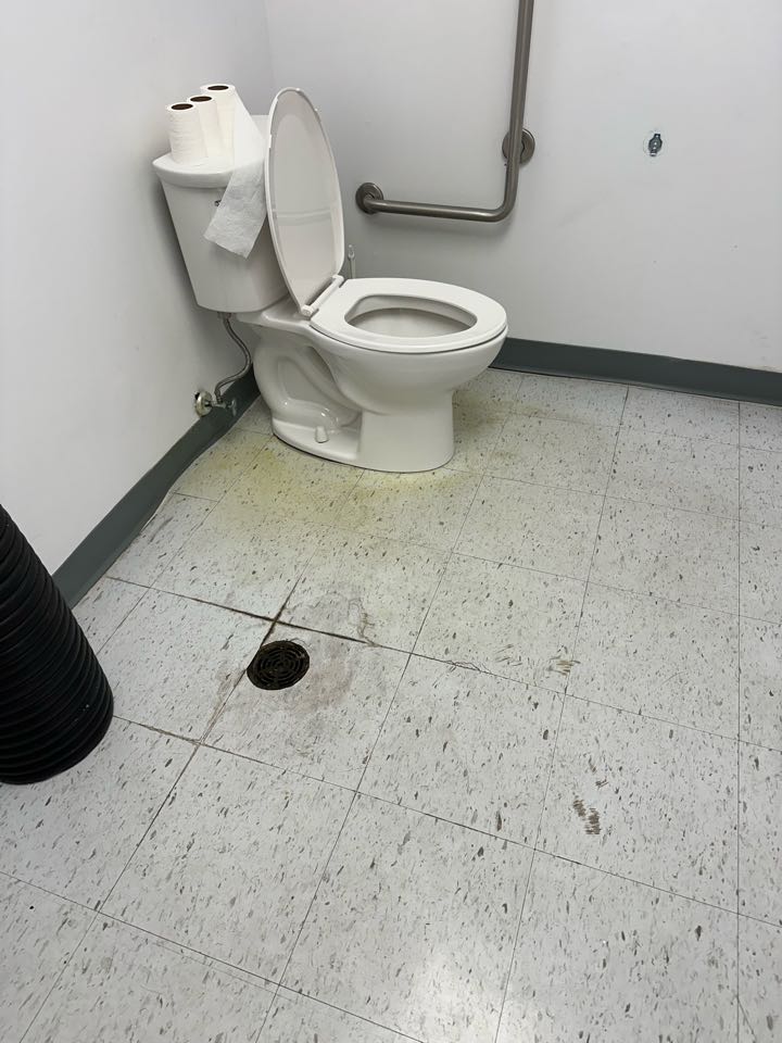 Find out in store sewage odor in Rickis cleo in Etobicoke 