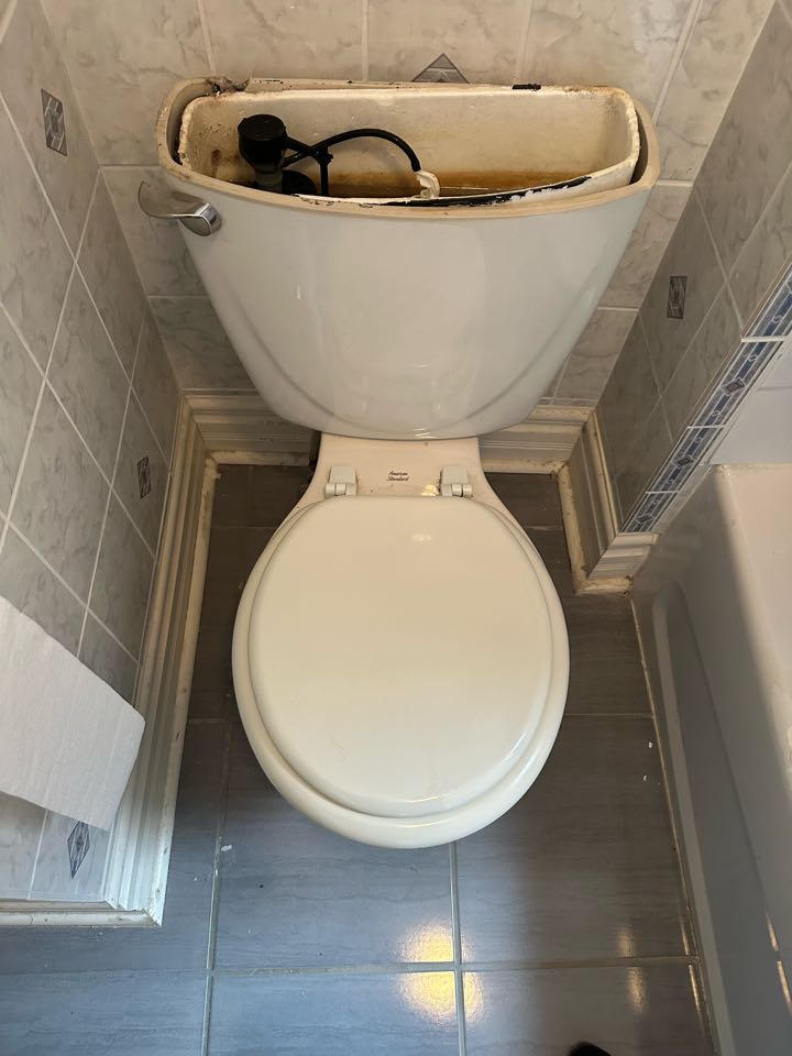 Fixed toilet handle and flapper 