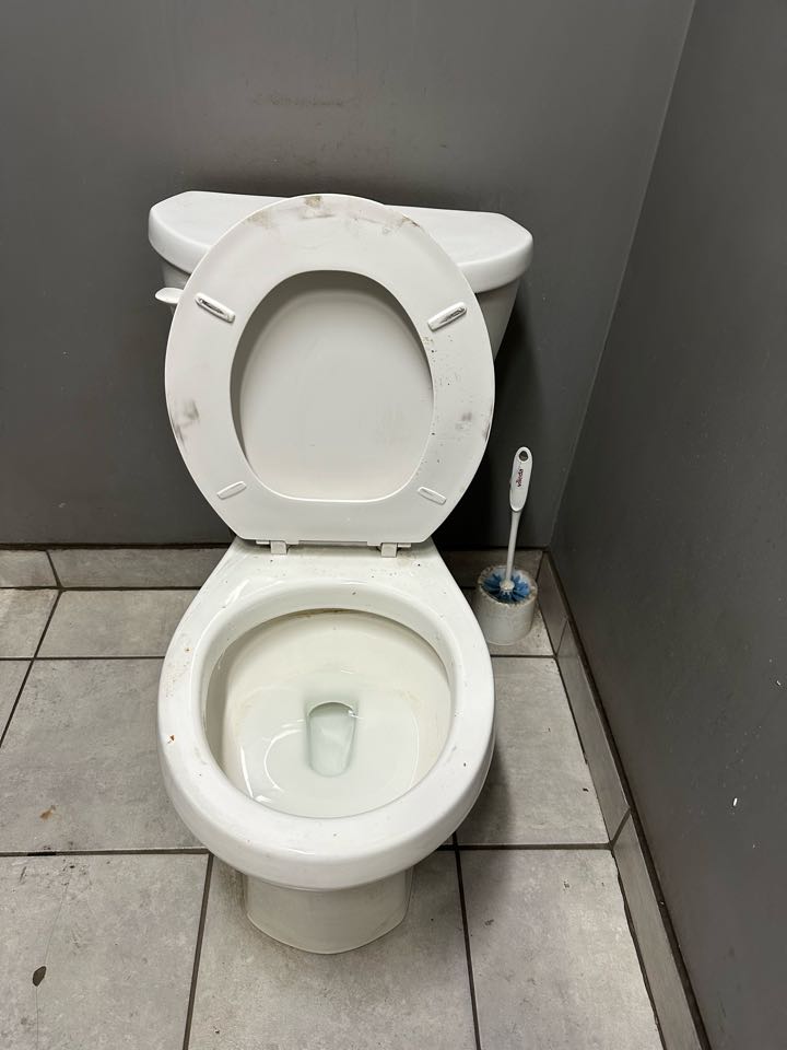 Unclogged toilet in AGE Reban