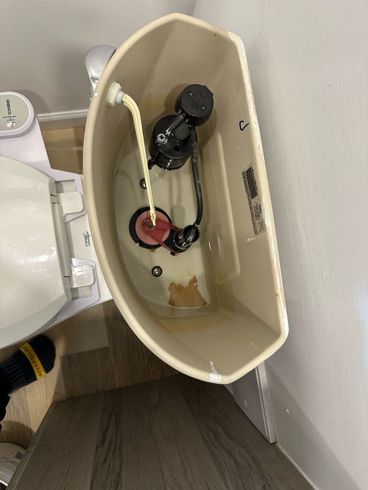 Fixed toilet issues 