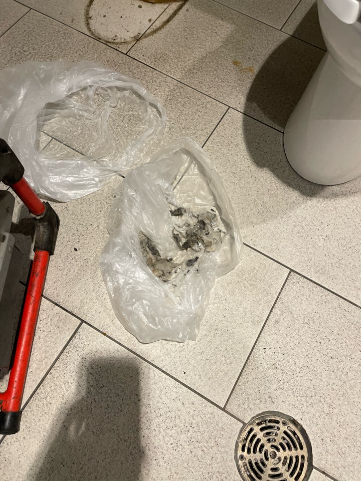 Snake and clear blockage from toilet at pinks square one 