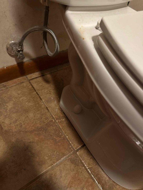 Completed toilet installation in residential bathroom, securing unit to tan ceramic tile flooring with proper seal. Installed and connected braided stainless steel water supply line to ensure proper functionality.