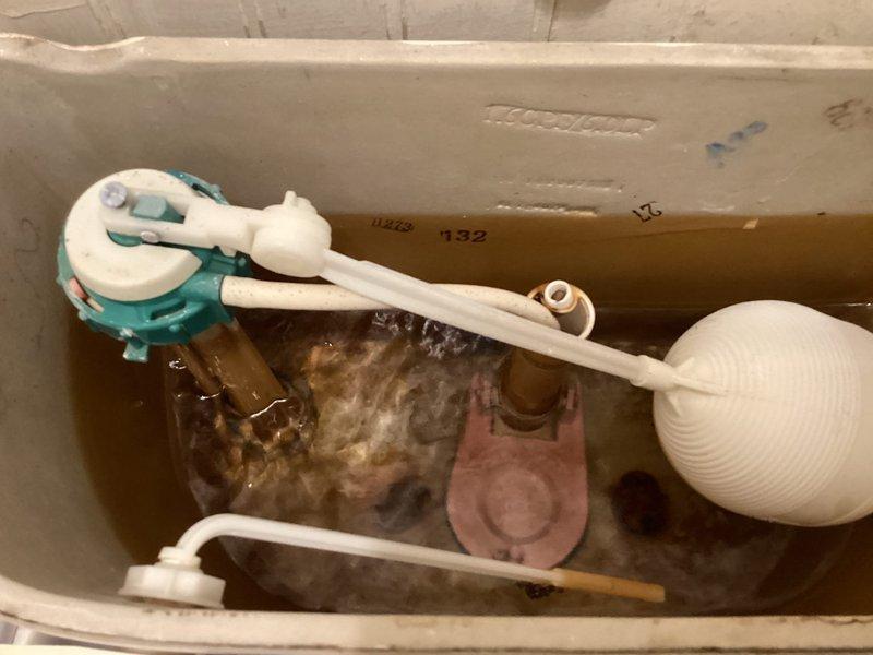 Conducted scheduled prepaid maintenance visit during morning appointment window. Inspected toilet tank and found mineral deposits with water level running lower than optimal; cleaned components and adjusted float assembly to proper height. Examined electrical panel and plumbing infrastructure in basement, confirming all connections were secure with no visible leaks or electrical hazards.