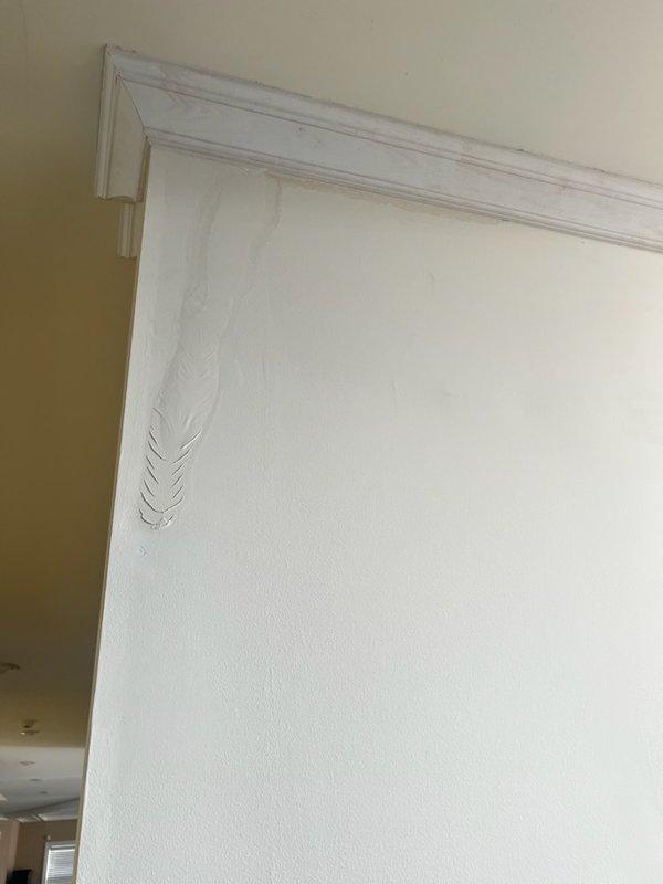 Responded to warranty call for newly installed upstairs HVAC unit with leaking condensation drain line. Inspection revealed water damage to downstairs ceiling and drywall. Documented moisture intrusion with photos for warranty claim processing.