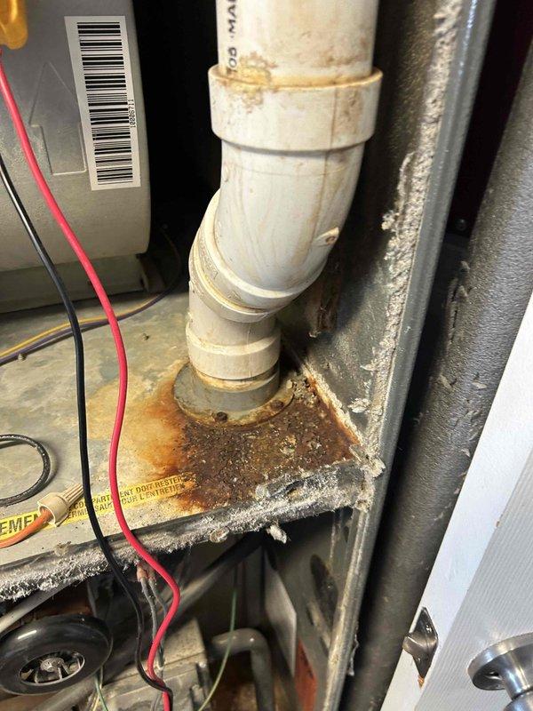 Diagnosed and serviced aging heating system experiencing no-heat condition. Inspection revealed significant dust accumulation on blower wheel assembly affecting airflow efficiency. Additionally, discovered corroded condensate drain assembly with mineral buildup and rust at connection points, indicating long-term moisture issues that were compromising system performance. Cleaned components and replaced damaged drain assembly to restore proper heating function.