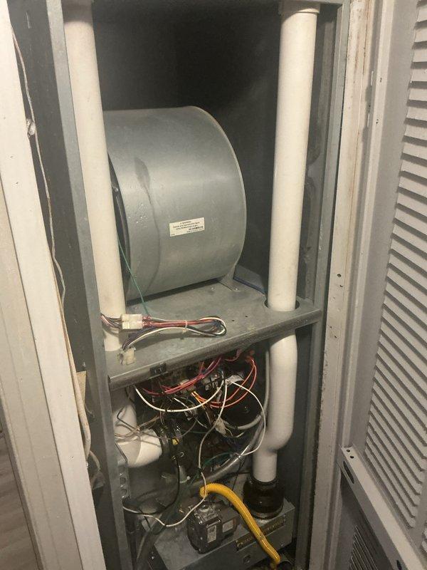 Performed basic monthly maintenance on customer's central comfort heating system. Inspected and cleaned the washable filter, checked the blower wheel assembly, and verified proper operation of the Honeywell thermostat. All components functioning normally with no issues detected.