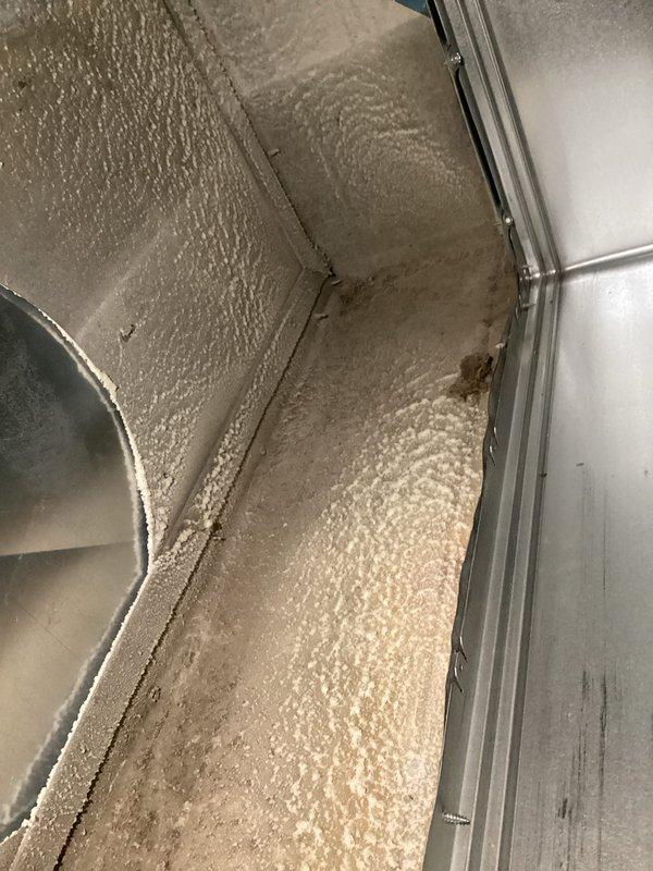 Performed annual basic heating maintenance service on system with CCH coverage (expires 1/31/26). Inspected blower assembly and identified contamination in ductwork corners with visible discoloration and potential mold growth. Cleaned fan components and documented condition of interior insulation for future reference.