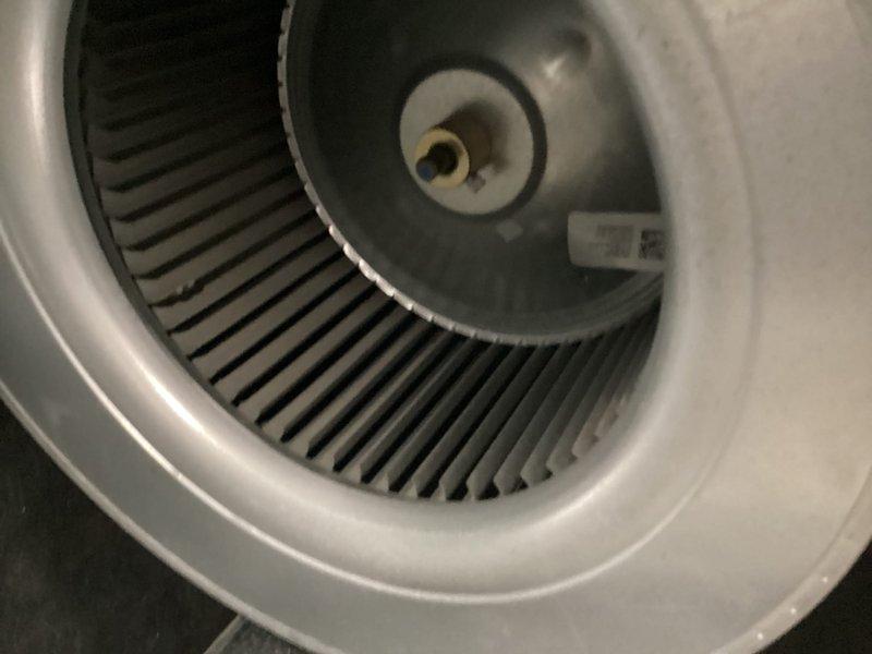 Performed annual basic heating maintenance service on system with CCH coverage (expires 1/31/26). Inspected blower assembly and identified contamination in ductwork corners with visible discoloration and potential mold growth. Cleaned fan components and documented condition of interior insulation for future reference.