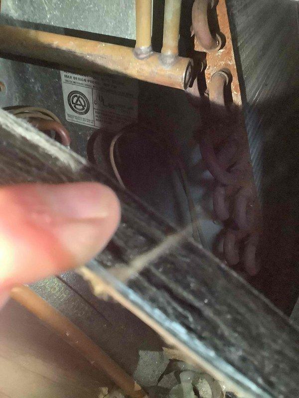 Performed diagnostic assessment on furnace system, identifying issues requiring service. Conducted electrical measurements with clamp meter, recording amperage reading of 38.2. Inspected interior components including copper refrigerant lines and heat exchanger for proper operation and condition.