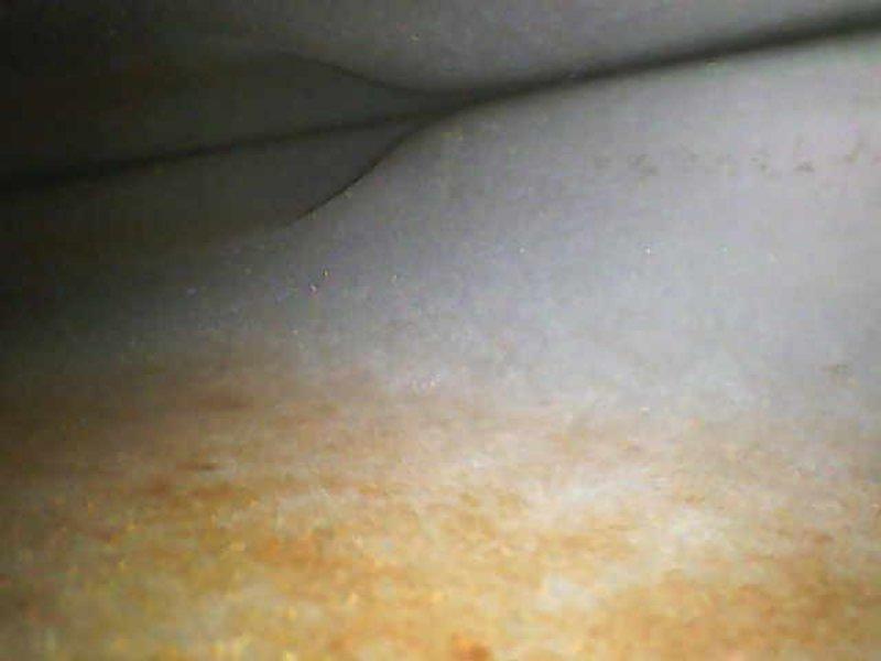 Performed second opinion inspection on furnace heat exchanger following previous contractor's claim of cracks. Visual inspection confirmed presence of cracks in heat exchanger with visible discoloration patterns along seams. Documented damage with photos showing distinct deterioration and oxidation on exchanger surfaces.