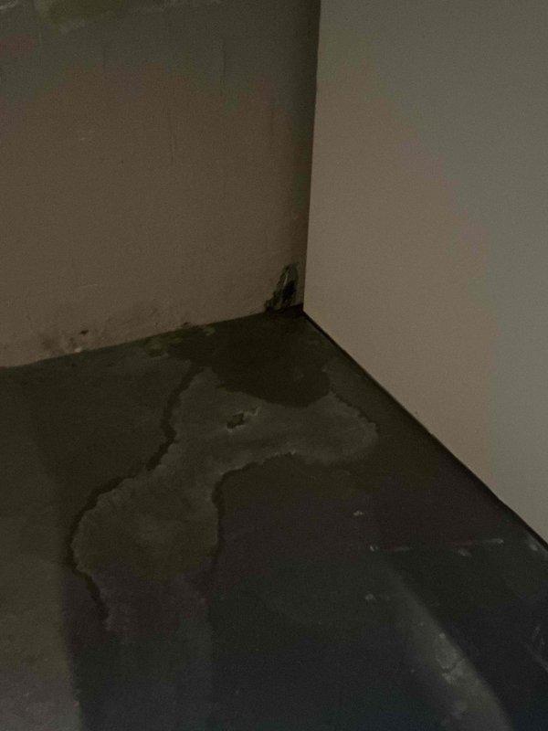 Inspected basement water intrusion affecting concrete flooring and wall joint. Identified significant moisture accumulation with visible water staining and potential mold development at the wall-floor intersection. Observed two exposed cables (white and green) running through the affected area which may contribute to safety concerns if water exposure continues.