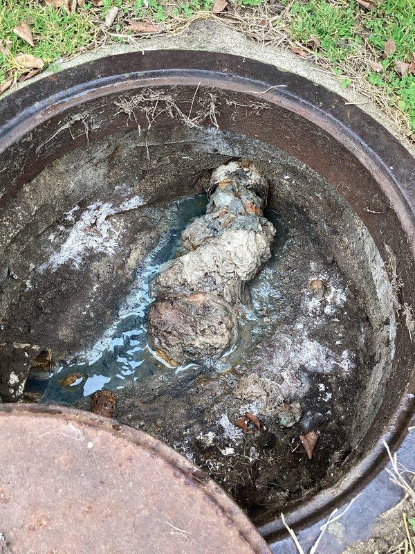 Responded to commercial plumbing service call for water backing up into unit. Accessed outdoor sewer cleanout and found significant debris accumulation and root intrusion in the drainage system. Successfully cleared blockage, restoring proper drainage function and preventing further water backup issues.