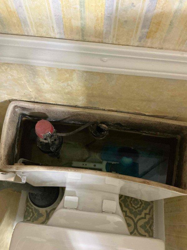 Completed prepaid plumbing maintenance inspection with focus on pipe assembly and toilet tank. Documented vertical pipe system with blue insulated section, copper connections, and red handle valve. Interior toilet tank inspection revealed aging components with mineral deposits, functioning fill valve with red cap, and standard mechanisms in working order.