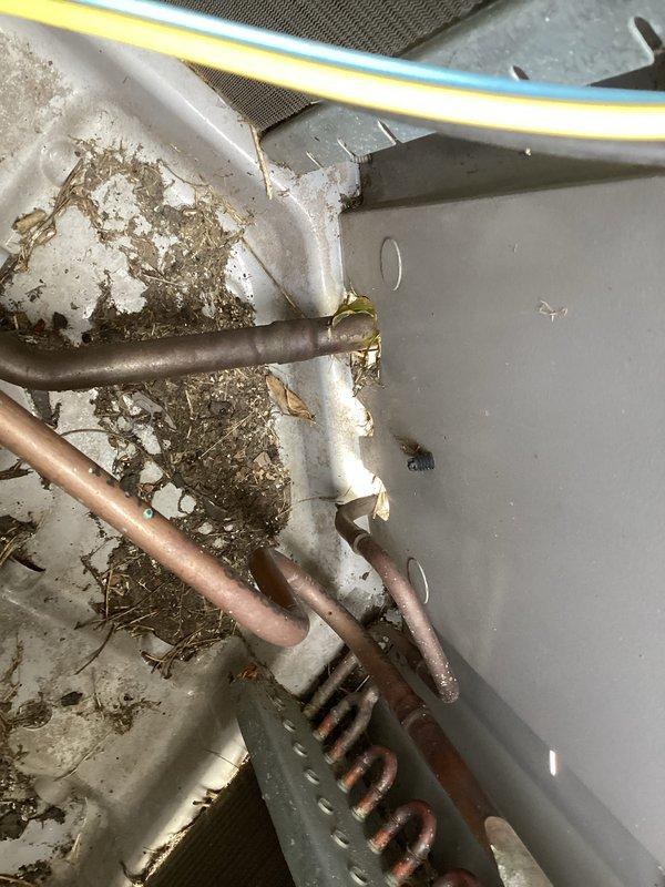 Diagnosed Carrier condensing unit requiring refrigerant 410A service. Identified significant debris accumulation within the unit and a faulty liquid line port valve. Will return with replacement liquid line port valve and recharge system with 410A refrigerant to restore proper operation.