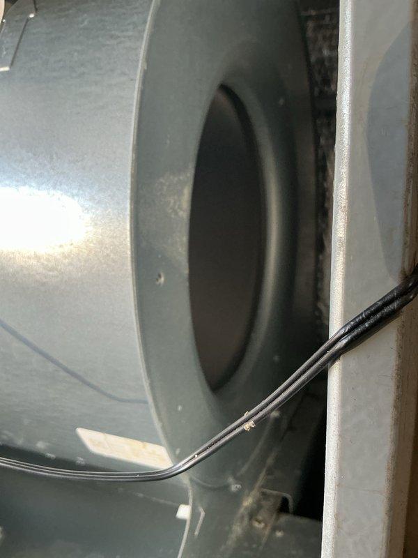 Performed Basic Monthly Heating Maintenance on Daikin HVAC system. Inspected blower wheel assembly and housing for proper operation. Verified outdoor condensing unit was in good condition with no visible damage and proper clearance on concrete pad.