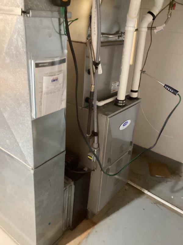 Performed scheduled Basic Plus heating maintenance visit on Carrier system. Inspected and cleaned blower wheel assembly which showed moderate dust accumulation. Replaced 20x25x4 air filter as part of recurring monthly service. Diagnostic testing of system operation completed with all parameters within normal ranges.