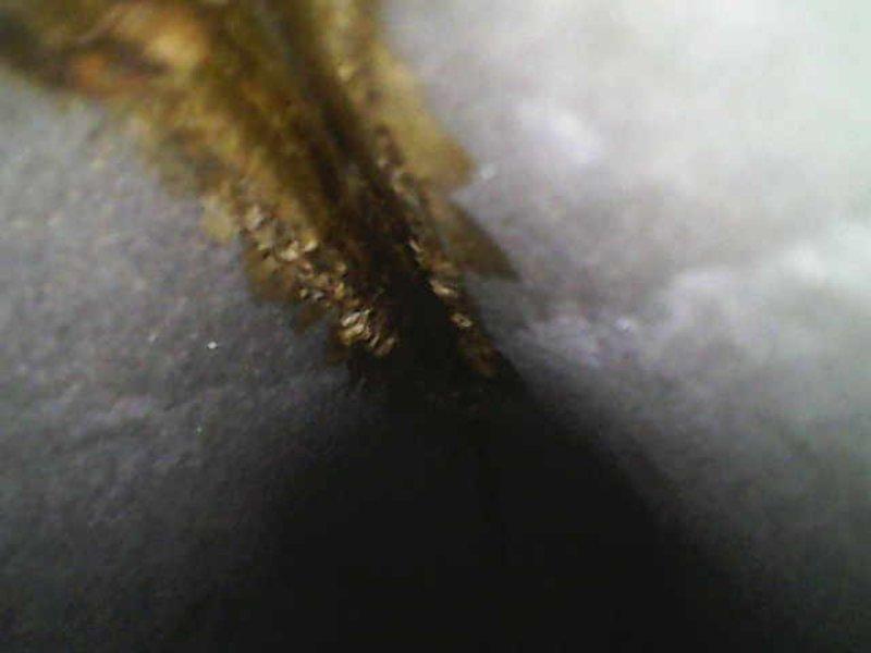 Performed comprehensive diagnostic inspection of heating system and identified severely corroded heat exchanger with visible rust damage along seams. Documented condition with detailed photos of affected components, and presented customer with both repair options for the compromised heat exchanger and complete system replacement alternatives. Provided complimentary second opinion service to verify diagnosis and ensure customer confidence in recommended solutions.