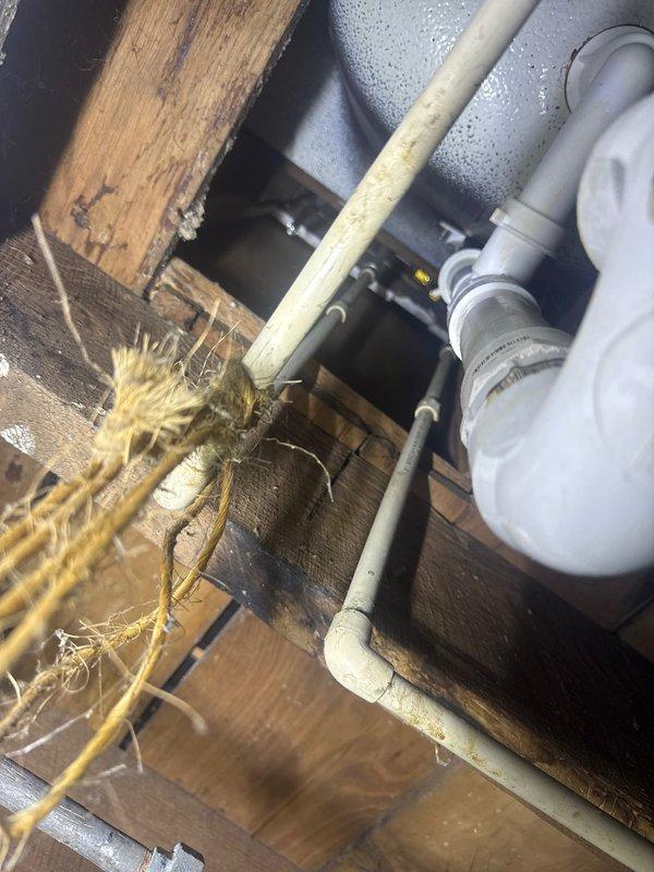 Conducted scheduled plumbing inspection for prepaid maintenance visit. Examined basement plumbing system including water heater connections, supply lines with valves, and drainage infrastructure. Identified condensation issues on PVC pipes in crawl space area where moisture is accumulating on pipes mounted against wooden structural members; documented with photos for future reference.