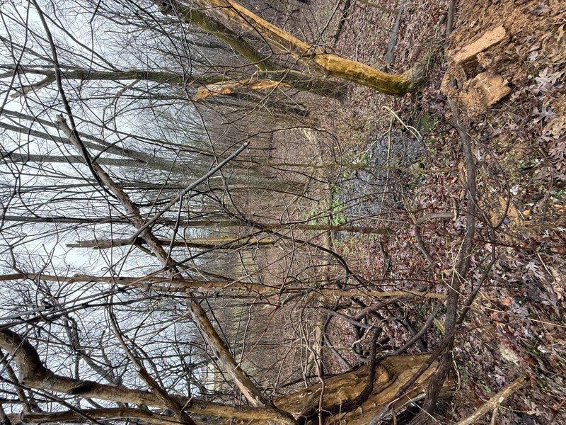 Responded to service call for two clogged toilets. Upon inspection, determined blockage location and successfully cleared obstructions using professional-grade equipment. Both fixtures now functioning properly with normal water flow and drainage restored.