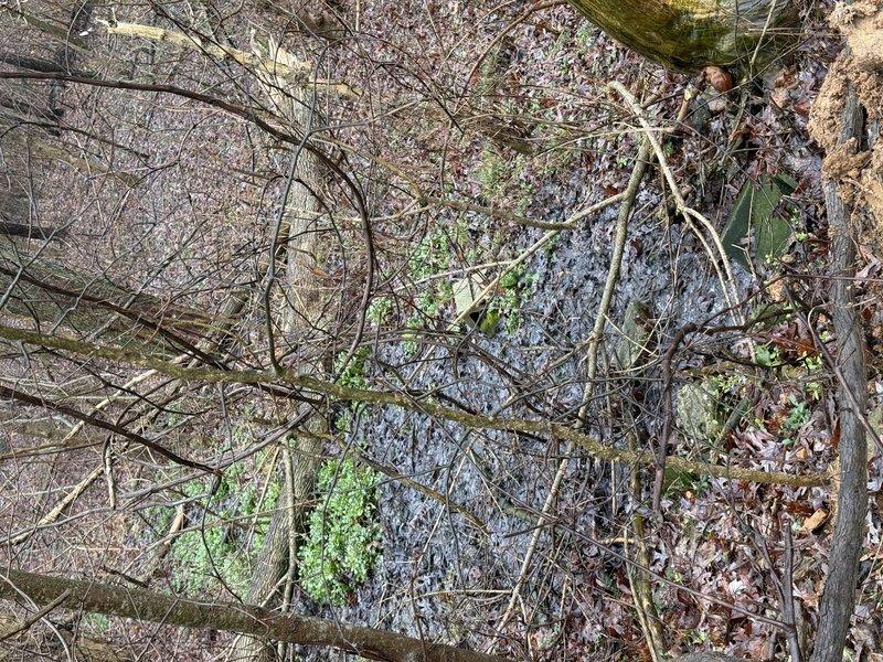 Responded to service call for two clogged toilets. Upon inspection, determined blockage location and successfully cleared obstructions using professional-grade equipment. Both fixtures now functioning properly with normal water flow and drainage restored.