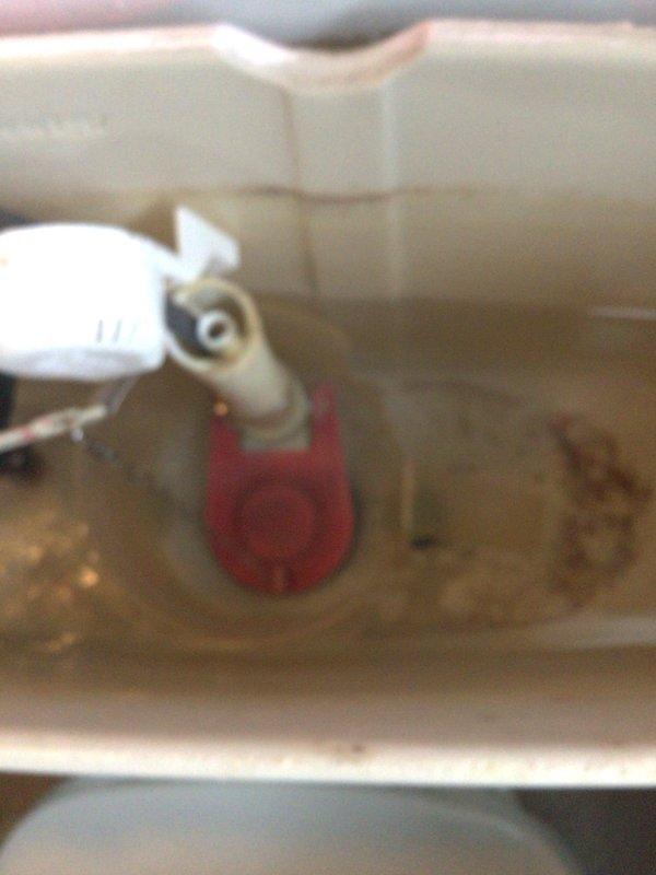 Performed diagnostic inspection on property with reported high water bill and concerns of potential leak. Identified failed flapper valve in toilet tank causing continuous water flow. Replaced deteriorated red flapper valve and adjusted fill mechanism to restore proper toilet operation, eliminating the constant running condition that was contributing to excessive water consumption. Confirmed no structural leaks in crawlspace despite customer's concerns about soft flooring and yard drainage issues.