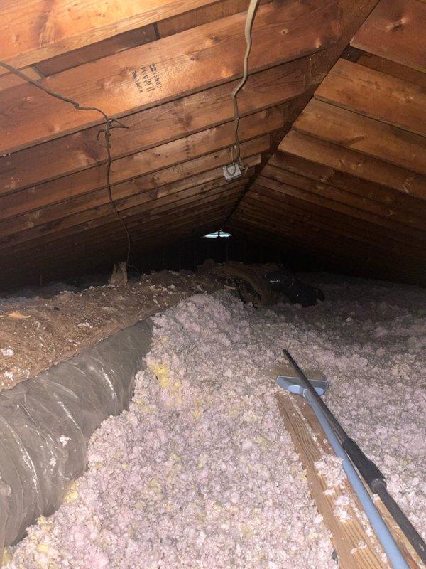 Conducted comprehensive assessment of existing HVAC ductwork system in basement utility area and attic space for proposed replacement and cleaning services. Inspected furnace connections, supply and return duct runs, and evaluated current reflective insulation wrapping on basement ductwork. Documented attic ductwork conditions, noting exposed fiberglass insulation, electrical wiring routing, and accessibility for replacement work. Provided detailed photographic documentation of existing system configuration to support proposal for complete ductwork replacement and thorough cleaning of compromised sections.