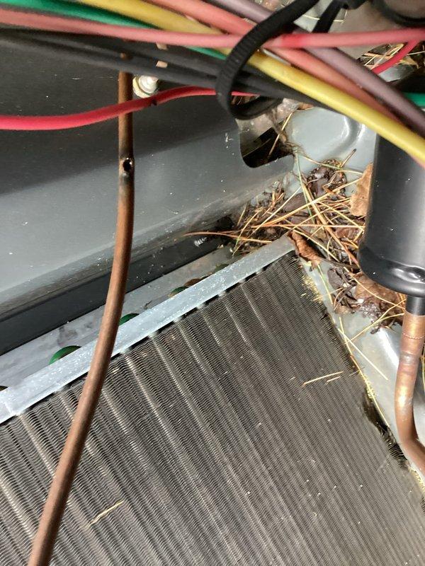 Performed HVAC system repair addressing defrost board and airflow issues. Upon inspection, discovered significant accumulation of pine needles and organic debris within the unit's interior, concentrated around the evaporator coil and internal components. Removed all debris from the system to restore proper airflow and prevent potential operational interference. Inspected and tested defrost board functionality, electrical connections, and associated wiring harness. Verified evaporator coil condition and copper refrigerant line connections for proper operation. System tested and confirmed operational following debris removal and component evaluation.