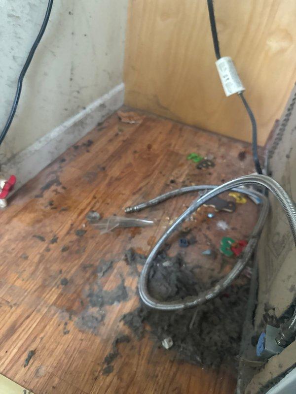 Responded to a request to disconnect and cap a refrigerator water supply line. Upon arrival, located the existing blue PEX water line with brass ball valve and red handle at the wall-floor junction. Disconnected the refrigerator supply line, properly capped the water line to prevent leaks, and verified the shutoff valve was functioning correctly. Documented the installation with photos showing the capped line and removed flexible braided supply hose.