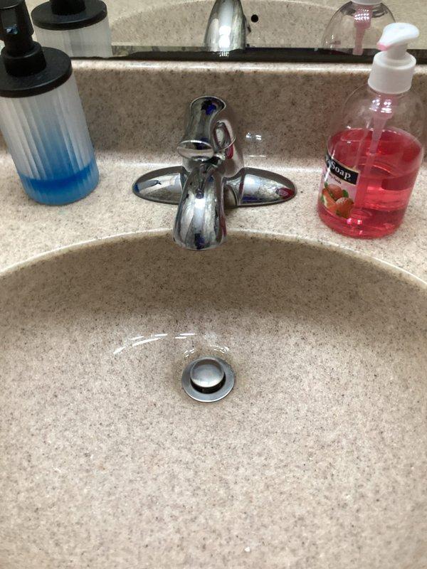 Completed monthly plumbing inspection for membership service. Inspected and photographed bathroom fixtures including sink faucet, drain assembly, and supply lines, confirming proper operation with no visible leaks. Examined basement utility area including sump pump system, water heater, and associated PVC drainage piping, verifying all components functioning within normal parameters.