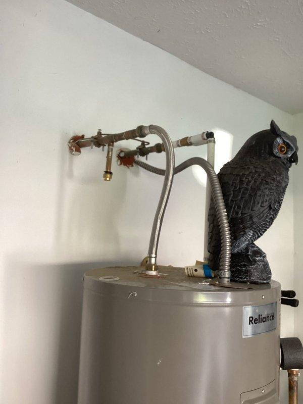 Completed monthly recurring plumbing inspection of residential water heater and associated plumbing systems. Documented condition of Reliance water heater unit, copper supply lines showing surface oxidation, flexible connector assembly, and PVC drainage piping in utility cabinet with visible age-related discoloration and rust staining on enclosure frame.