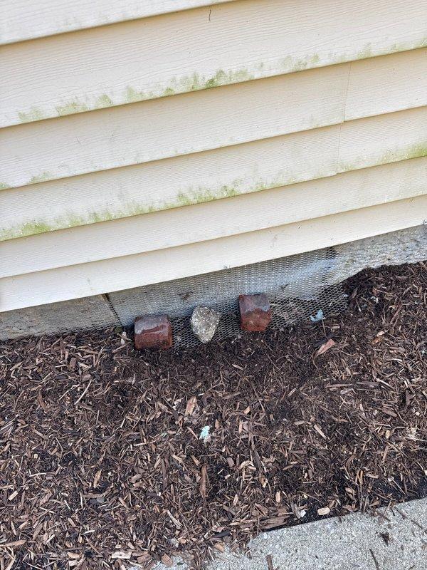 # Plumbing Service Completed

Responded to service call for clogged exterior drainage system. Upon arrival, inspected the foundation perimeter and identified blockage in the below-grade drain line serving the downspout discharge point. The obstruction was causing water to back up and overflow onto the concrete apron and surrounding mulch bed, resulting in pooling and surface staining visible at the foundation interface.

Cleared the clogged drain line using mechanical augering equipment to remove accumulated debris, sediment, and organic material that had restricted water flow. Flushed the system thoroughly to ensure complete clearance and verified proper drainage function. Tested downspout discharge to confirm water was flowing freely away from the foundation without backup or surface pooling. Inspected the foundation drain screen for damage or displacement and confirmed it remained properly secured to prevent pest intrusion.

Advised on preventive maintenance recommendations includin