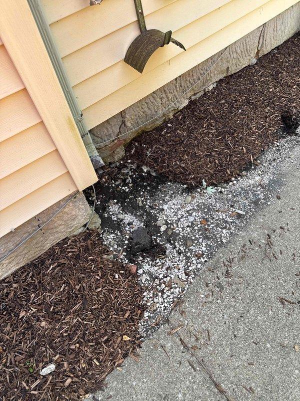 # Plumbing Service Completed

Responded to service call for clogged exterior drainage system. Upon arrival, inspected the foundation perimeter and identified blockage in the below-grade drain line serving the downspout discharge point. The obstruction was causing water to back up and overflow onto the concrete apron and surrounding mulch bed, resulting in pooling and surface staining visible at the foundation interface.

Cleared the clogged drain line using mechanical augering equipment to remove accumulated debris, sediment, and organic material that had restricted water flow. Flushed the system thoroughly to ensure complete clearance and verified proper drainage function. Tested downspout discharge to confirm water was flowing freely away from the foundation without backup or surface pooling. Inspected the foundation drain screen for damage or displacement and confirmed it remained properly secured to prevent pest intrusion.

Advised on preventive maintenance recommendations includin