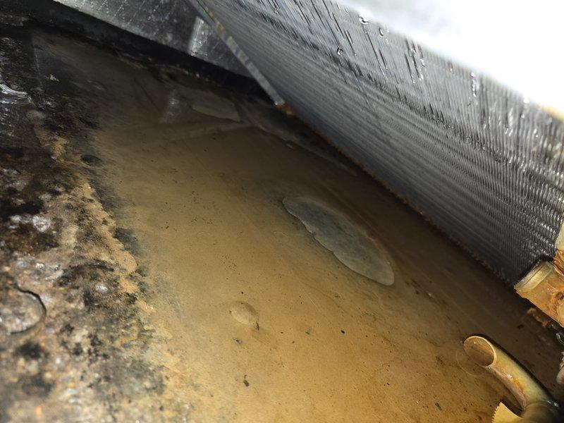# HVAC Service - Water Leak

Responded to service call for furnace leak on 15-year-old unit with condensate management system installed in 2019. Upon arrival, conducted thorough inspection of furnace and associated drainage components to identify source of water intrusion.

Visual inspection revealed extensive rust and corrosion on metal components within the furnace cabinet, indicating prolonged exposure to moisture. Heavy oxidation and mineral deposits were present on affected surfaces, suggesting chronic condensate drainage issues. Documented condition with photographs showing deteriorated metal surfaces with significant pitting and white mineral buildup.

Examined evaporator coil assembly and condensate collection system. Found condensate drain pan containing standing water with visible sediment and debris accumulation. Pan showed signs of age-related deterioration with staining and discoloration around edges. Observed moisture present on evaporator coil fins, indicating active con
