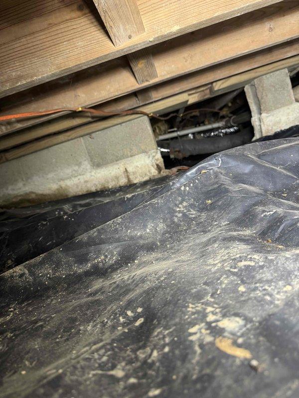 Responded to callback for recurring wet floor issue in residential property. Conducted thorough inspection of crawl space and subfloor area, examining plumbing lines, drainage systems, and HVAC ductwork for potential moisture sources. Documented existing conditions including accumulated debris on ductwork and structural components. Assessed bedroom HVAC airflow concerns and discussed potential ductwork modifications and booster fan installation to improve ventilation. Provided recommendations for moisture remediation and advised on warranty coverage for previous work. Further evaluation required to determine source of water intrusion and finalize ductwork enhancement scope.