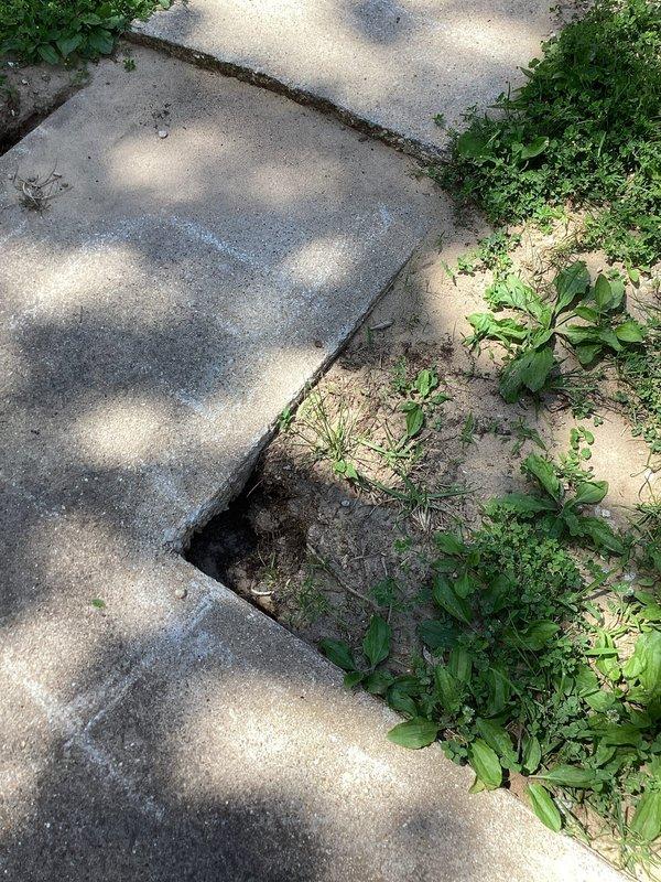 Responded to warranty callback for plumbing installation where a 2-inch stub protrusion in the concrete walkway created a trip hazard. Upon arrival, documented severely deteriorated concrete surfaces with multiple cracks, broken sections, and a protruding stub that posed safety concerns for residents with mobility challenges. Assessed the walkway damage and surrounding areas where vegetation had encroached on deteriorating concrete sections. Captured photographic documentation of the hazardous conditions including the stub protrusion, concrete deterioration, and trip hazards for warranty correction planning.