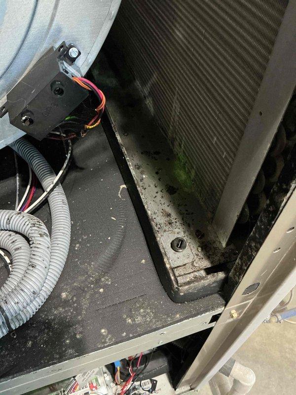 Completed basic monthly cooling maintenance on Trane HVAC system. Inspected evaporator coil and found significant dirt accumulation, debris buildup, and green discoloration indicating mold or algae growth on coil fins. Documented system condition with photos showing dirty coil requiring cleaning, verified all electrical connections and wiring secure, and confirmed proper operation of furnace and cooling components.