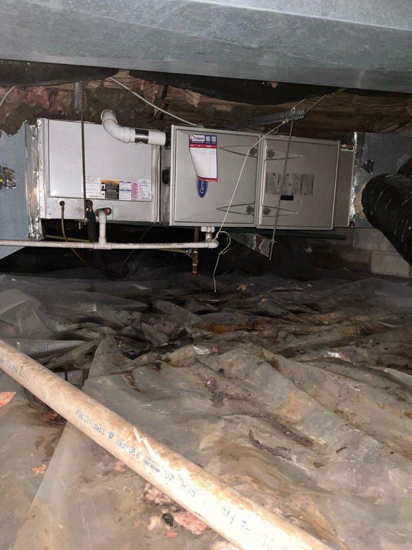 Conducted comprehensive system evaluation on 14-year-old HVAC system following maintenance visit that identified critical component failures requiring heat exchanger, radiator, and hardware kit replacement. Assessed both outdoor condensing unit and indoor air handler located in crawlspace to determine extent of necessary repairs versus full system replacement options. Documented equipment condition and provided consultation regarding replacement alternatives given the substantial repair costs needed to restore current system to proper working condition.