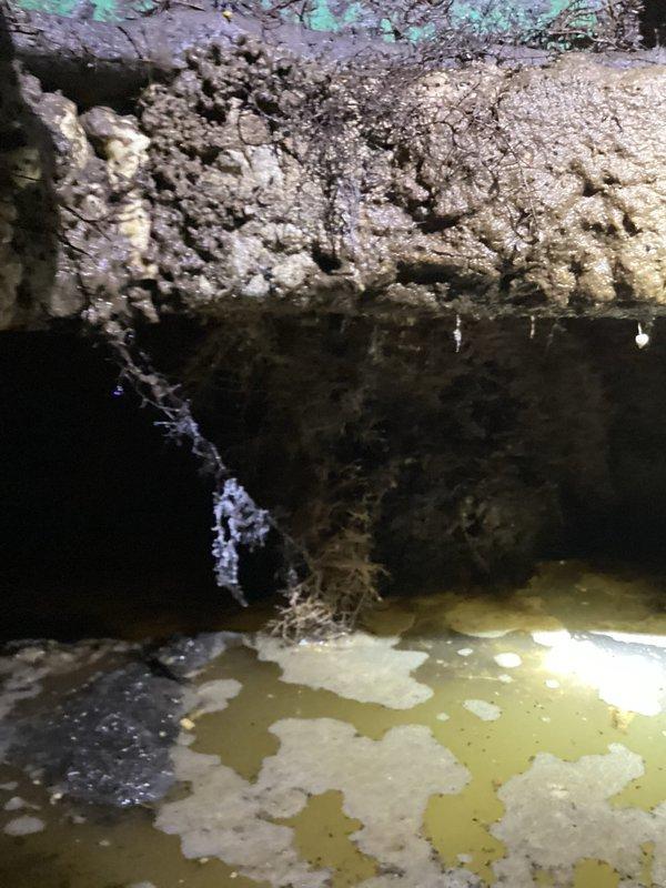Responded to main drain clog complaint and accessed underground sewer cleanout on property. Utilized power auger equipment to clear blockage in main drain line. Investigation revealed standing water and moisture intrusion in crawlspace area beneath structure, indicating potential drainage issues contributing to the clog. Successfully cleared obstruction and restored proper drainage flow through main sewer line.
