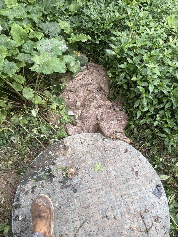 Replaced failed sewage pump in outdoor sump pit, removing old unit and installing new pump system with appropriate electrical connections and discharge piping. Cleared vegetation growth around access point and verified proper pump operation and float switch functionality upon completion.