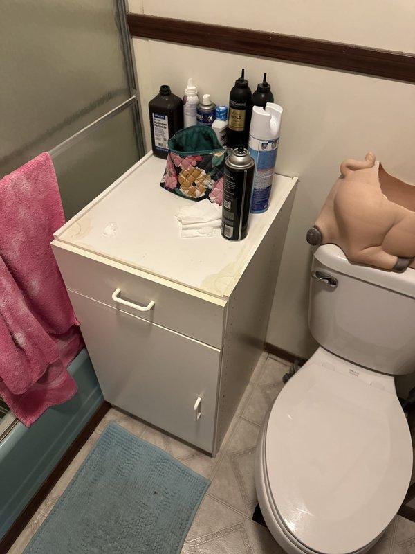 Conducted free on-site estimate for converting existing turquoise bathtub to shower installation in residential bathroom. Assessed current plumbing configuration, measured fixture dimensions, photographed existing setup including tub surround, drainage system, and available space constraints. Documented bathroom layout to prepare comprehensive conversion proposal including demolition of existing tub, shower pan installation, and necessary plumbing modifications.