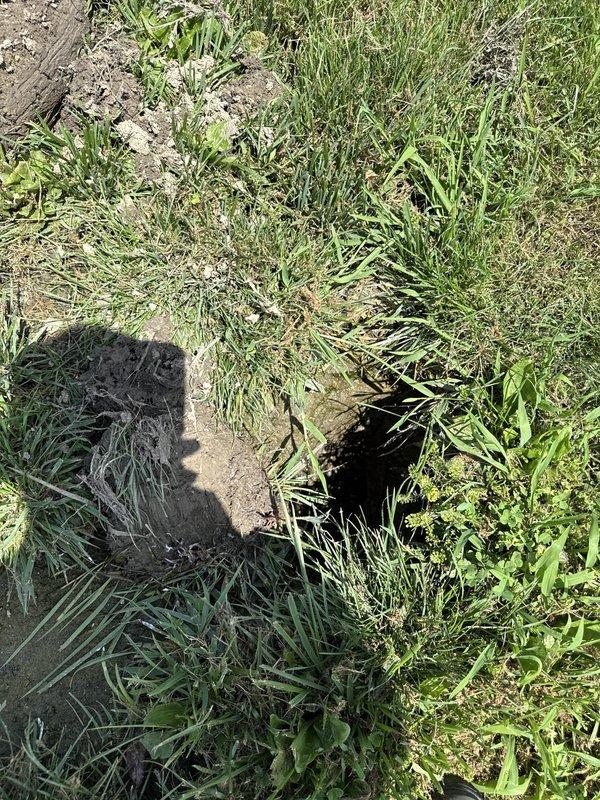 Responded to reported sewage leak at commercial property based on city notification and meter readings. Conducted site inspection of exterior grounds and identified underground utility access point in grassy area near building foundation. Documented conditions of access opening, surrounding landscape, and building perimeter with photographic evidence for further assessment and potential repair recommendations.