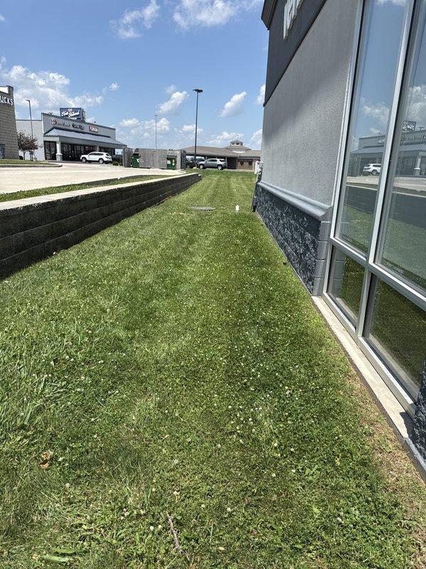 Responded to reported sewage leak at commercial property based on city notification and meter readings. Conducted site inspection of exterior grounds and identified underground utility access point in grassy area near building foundation. Documented conditions of access opening, surrounding landscape, and building perimeter with photographic evidence for further assessment and potential repair recommendations.