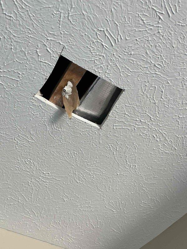 Performed invasive ceiling inspection to verify absence of active water leak following home inspection report indicating 10% moisture content in ceiling material. Cut access opening in textured drywall ceiling to provide visual confirmation of dry conditions in ceiling cavity for real estate transaction purposes. Inspection revealed no evidence of water intrusion, active leaking, or moisture damage to interior ceiling components or HVAC ductwork. Documented findings with photographic evidence showing dry conditions within ceiling cavity.