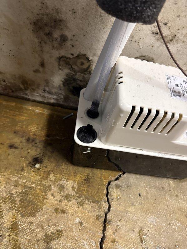 Responded to water leak complaint in utility area related to recently installed HVAC system. Upon inspection, discovered significant water pooling on carpeted floor around condensate pump and drainage system, with visible moisture damage to surrounding walls and flooring. Identified compromised P-trap connection and improper condensate drainage from HVAC unit as primary source of leak. Cleared blockage from condensate drain line, re-secured P-trap connections, and verified proper pitch and flow of drainage tubing. Tested system operation through multiple cooling cycles to confirm condensate is draining properly without leakage. Documented extensive pre-existing water damage and staining on walls and subfloor, recommending follow-up remediation to address moisture damage and potential mold growth in affected areas.