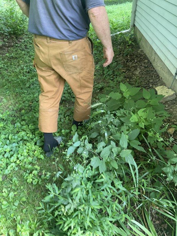 Conducted on-site assessment for furnace replacement at residential property. Existing heating system confirmed to be 30 years old and at end of serviceable life. Evaluated exterior HVAC equipment and accessibility conditions, noting outdoor condensing unit positioned against building exterior with significant vegetation overgrowth requiring clearance for proper equipment access and future maintenance. Documented current system configuration and site conditions to provide comprehensive replacement estimate including equipment specifications, installation requirements, and necessary site preparation work.
